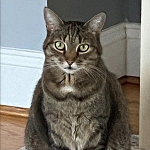 Meet your Posher, Marla